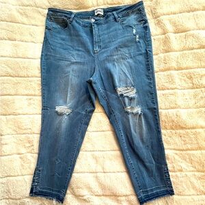 Rebel Wilson “The Vamp Crop” Jeans